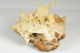 Stunning, Mango Quartz Crystal Cluster - Cabiche, Colombia #188379-4